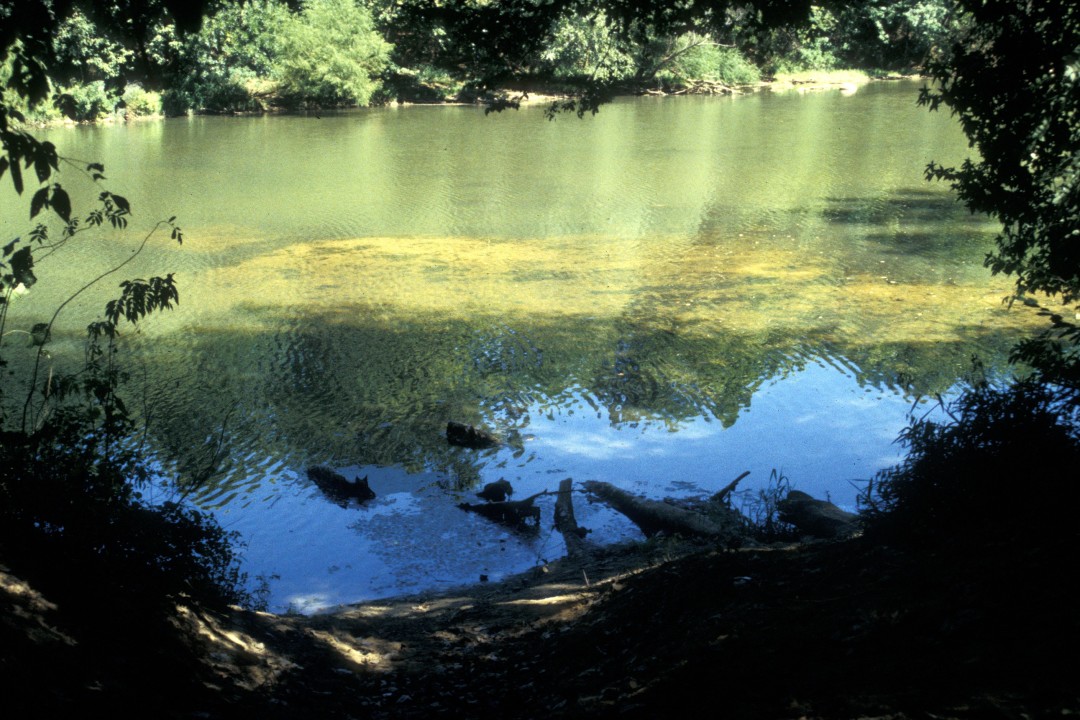 Congaree River Blueway The River Alliance