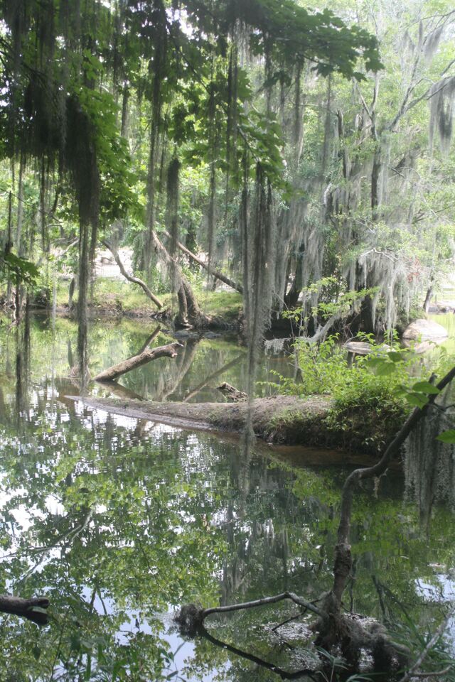 Saluda Riverwalk - The River Alliance