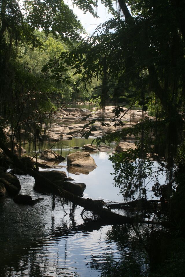 Saluda Riverwalk - The River Alliance