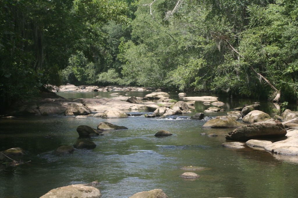 Saluda Riverwalk The River Alliance